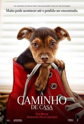 A Caminho de Casa - A Dogs Way Home Download