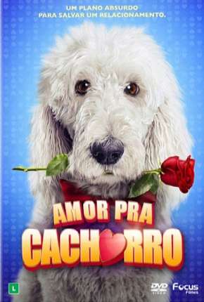 Amor Pra Cachorro Imagem