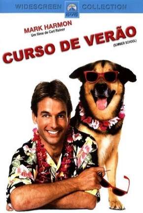 Curso de Verão Imagem