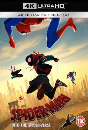 Homem-Aranha - No Aranhaverso 4K Legendado Download