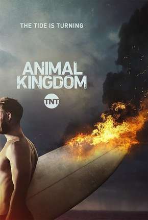 Animal Kingdom - 2ª Temporada Completa Download