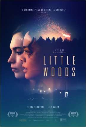 Little Woods - Legendado Download