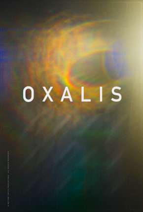 Oxalis - Legendado Imagem