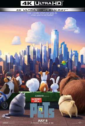 Pets - A Vida Secreta dos Bichos - 4K Download