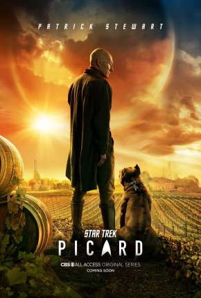 Star Trek - Picard - 1ª Temporada Download