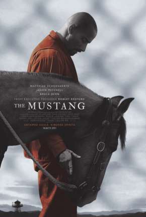 The Mustang Download