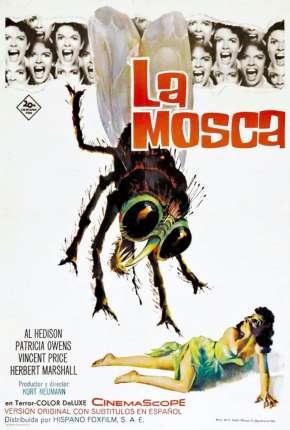 A Mosca da Cabeça Branca Imagem