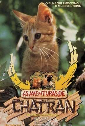As Aventuras de Chatran Imagem