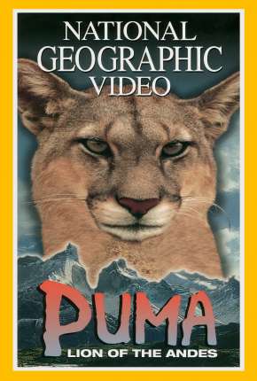Puma - Leão dos Andes - Legendado Imagem
