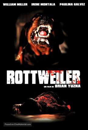 Rottweiler Imagem