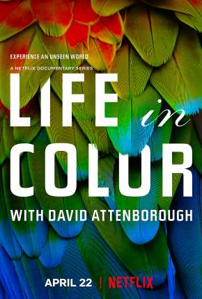 A Vida em Cores com David Attenborough - 1ª Temporada Completa Download