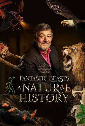 Animais Fantásticos - Uma História Natural Download