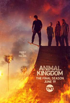 Animal Kingdom - 6ª Temporada Legendada Download