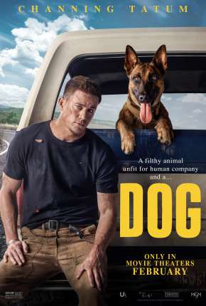 Dog - A Aventura de Uma Vida Download