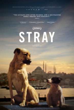 Stray - 2021 Legendado Download