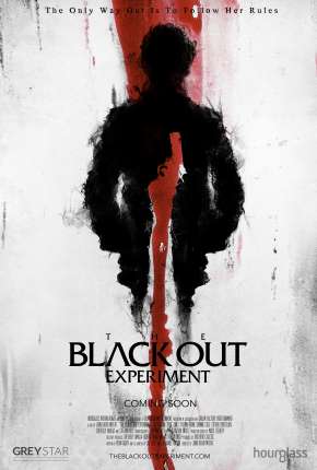 The Blackout Experiment - Legendado Download