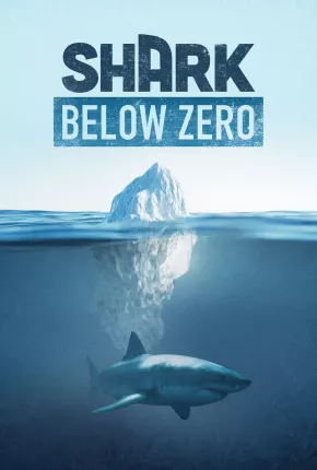 Shark Below Zero Download