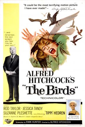 Os Pássaros / The Birds Imagem