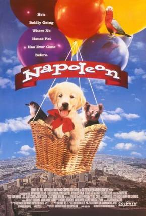 Napoleon, as Aventuras de um Cãozinho Valente Imagem