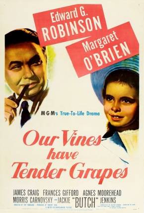 O Roseiral da Vida / Our Vines Have Tender Grapes Imagem