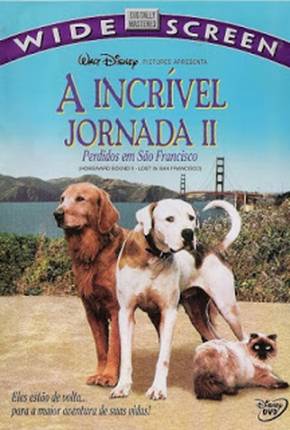A Incrível Jornada 2 - Perdidos em São Francisco Imagem