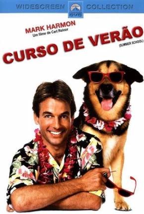 Curso de Verão / Summer School Imagem